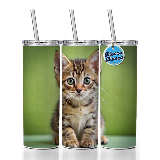 European Shorthair Cat Kitten Photo Skinny Tumbler 20oz with Straw Insulated Water Bottle Gift