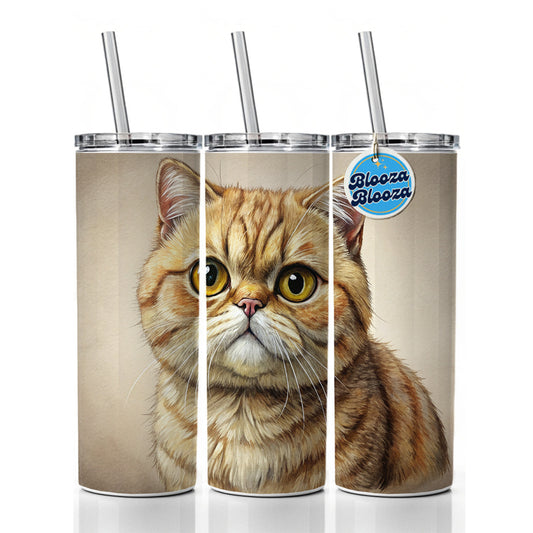 Exotic Shorthair Cat Illustration Skinny Tumbler 20oz with Straw Insulated Water Bottle Gift