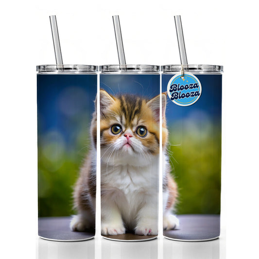 Exotic Shorthair Cat Kitten Photo Skinny Tumbler 20oz with Straw Insulated Water Bottle Gift