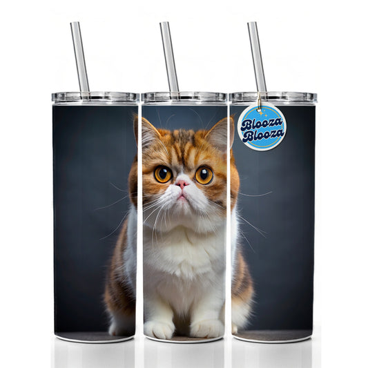 Exotic Shorthair Cat Photo Skinny Tumbler 20oz with Straw Insulated Water Bottle Gift