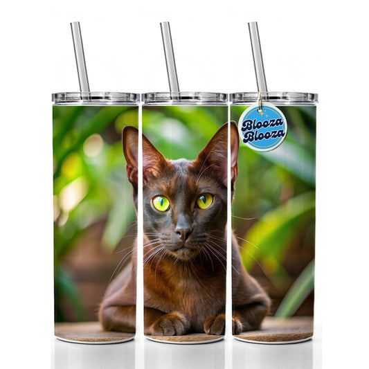 Havana Brown Cat Photo Skinny Tumbler 20oz with Straw Insulated Water Bottle Gift
