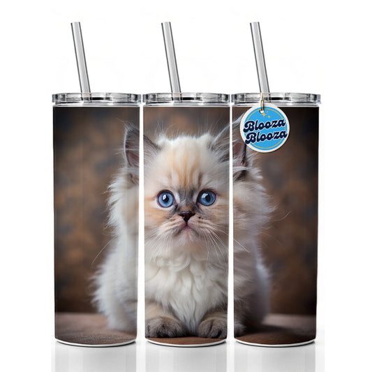 Himalayan Cat Kitten Photo Skinny Tumbler 20oz with Straw Insulated Water Bottle Gift