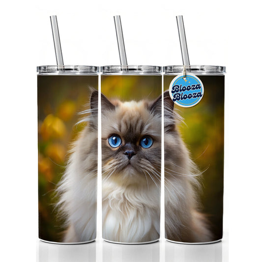 Himalayan Cat Photo Skinny Tumbler 20oz with Straw Insulated Water Bottle Gift