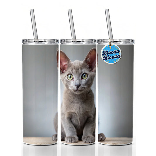 Korat Cat Kitten Photo Skinny Tumbler 20oz with Straw Insulated Water Bottle Gift