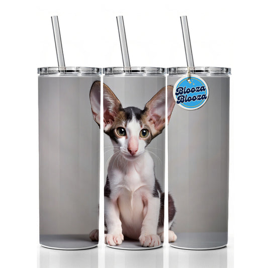 Oriental Shorthair Black White Cat Kitten Photo Skinny Tumbler 20oz with Straw Insulated Water Bottle Gift