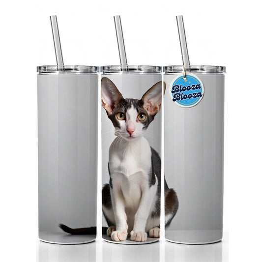 Oriental Shorthair Black White Cat Photo Skinny Tumbler 20oz with Straw Insulated Water Bottle Gift