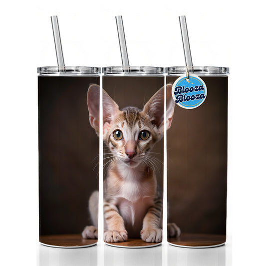 Oriental Shorthair Cat Kitten Photo Skinny Tumbler 20oz with Straw Insulated Water Bottle Gift