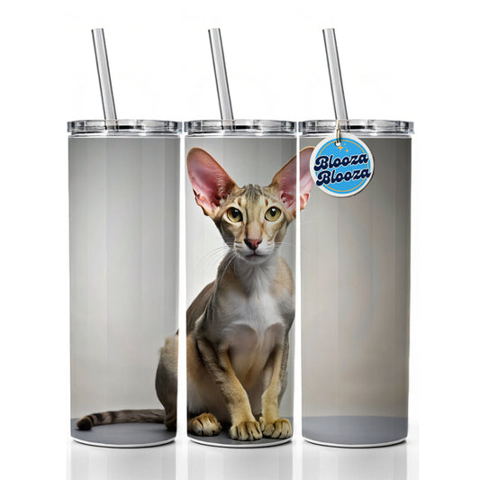Oriental Shorthair Cat Photo Skinny Tumbler 20oz with Straw Insulated Water Bottle Gift