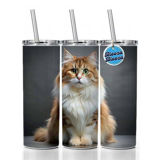 Ragamuffin Cat Photo Skinny Tumbler 20oz with Straw Insulated Water Bottle Gift