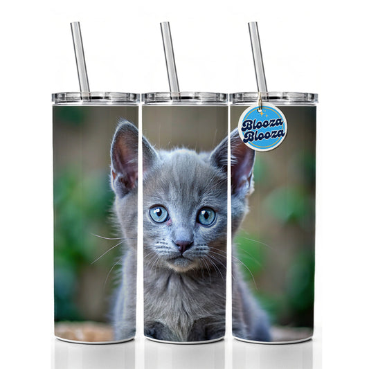 Russian Blue Cat Kitten Photo Skinny Tumbler 20oz with Straw Insulated Water Bottle Gift