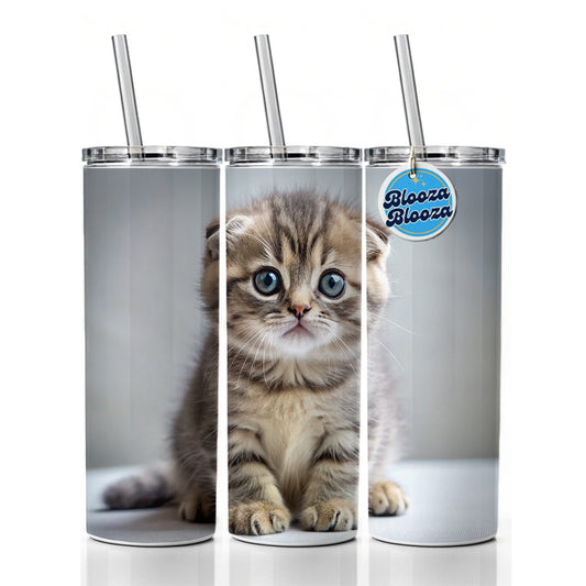 Scottish Fold Cat Kitten Photo Skinny Tumbler 20oz with Straw Insulated Water Bottle Gift