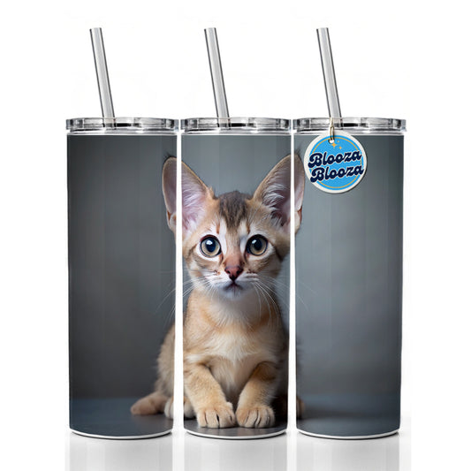 Singapura Cat Kitten Photo Skinny Tumbler 20oz with Straw Insulated Water Bottle Gift