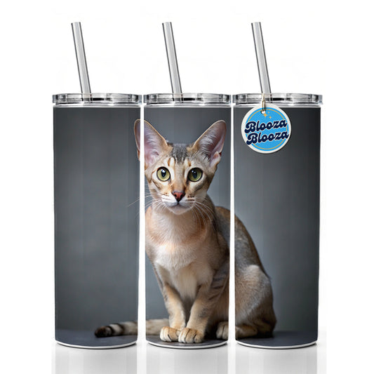 Singapura Cat Photo Skinny Tumbler 20oz with Straw Insulated Water Bottle Gift