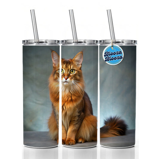 Somali Cat Kitten Photo Skinny Tumbler 20oz with Straw Insulated Water Bottle Gift