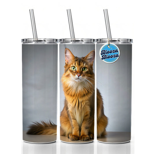 Somali Cat Photo Skinny Tumbler 20oz with Straw Insulated Water Bottle Gift