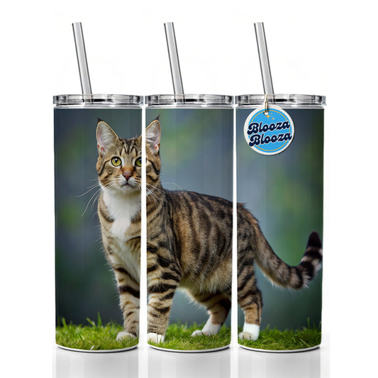 Cute Tabby Cat Photo Skinny Tumbler 20oz with Straw Insulated Water Bottle Gift