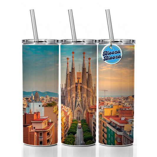 Barcelona Spain Beautiful Skinny Tumbler 20oz with Straw Insulated Water Bottle Gift