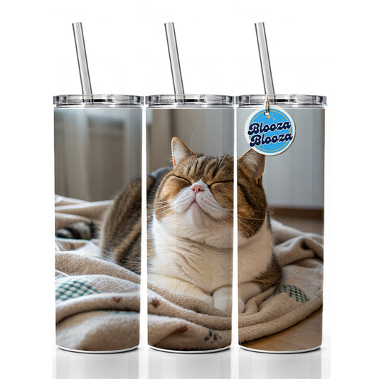 Chubby Cat Lying Down Cute Skinny Tumbler 20oz with Straw Insulated Water Bottle Gift