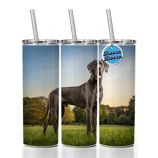 Great Dane In Grass Skinny Tumbler 20oz with Straw Insulated Water Bottle Gift