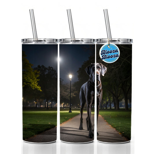 Great Dane In Park At Night Skinny Tumbler 20oz with Straw Insulated Water Bottle Gift