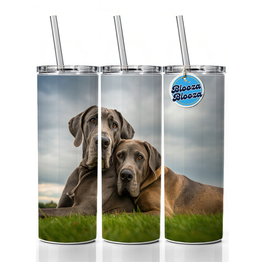 Great Danes In Love Friends Buddies Skinny Tumbler 20oz with Straw Insulated Water Bottle Gift