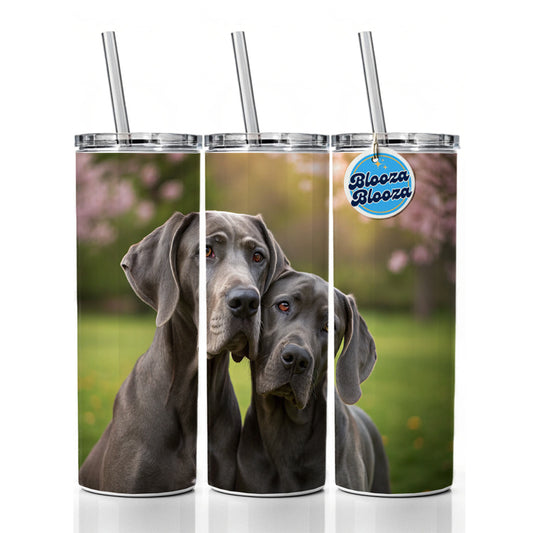 Great Danes In Love Friends Skinny Tumbler 20oz with Straw Insulated Water Bottle Gift