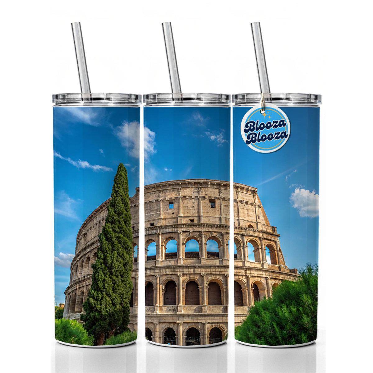 Rome Italy Colosseum Travel History Skinny Tumbler 20oz with Straw Insulated Water Bottle Gift