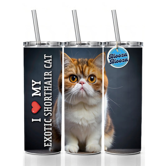 I Love My Exotic Shorthair Cat Heart Skinny Tumbler 20oz with Straw Insulated Water Bottle Gift