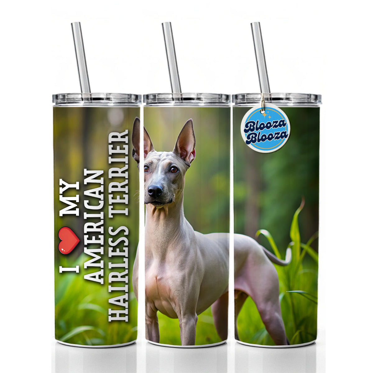 I Love My American Hairless Terrier Dog Heart Skinny Tumbler 20oz with Straw Insulated Water Bottle Gift
