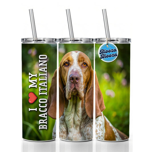 I Love My Bracco Italiano Dog Heart Skinny Tumbler 20oz with Straw Insulated Water Bottle Gift