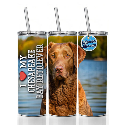 I Love My Chesapeake Bay Retriever Dog Heart Skinny Tumbler 20oz with Straw Insulated Water Bottle Gift