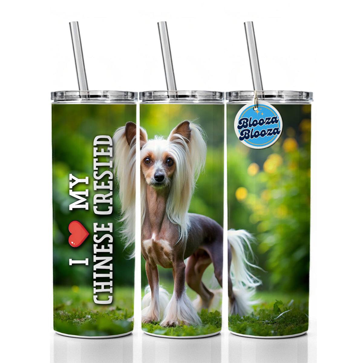 I Love My Chinese Crested Dog Heart Skinny Tumbler 20oz with Straw Insulated Water Bottle Gift