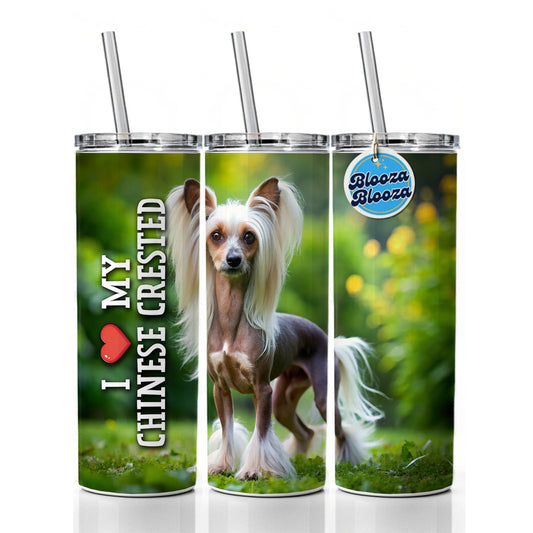 I Love My Chinese Crested Dog Heart Skinny Tumbler 20oz with Straw Insulated Water Bottle Gift