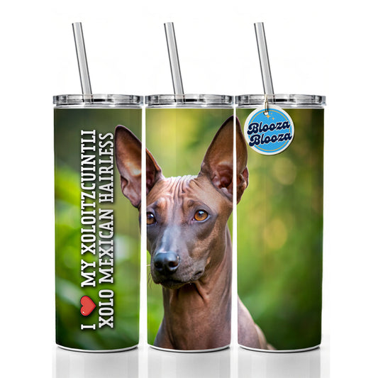I Love My Xoloitzcuintli Xolo Mexican Hairless Dog Heart Skinny Tumbler 20oz with Straw Insulated Water Bottle Gift