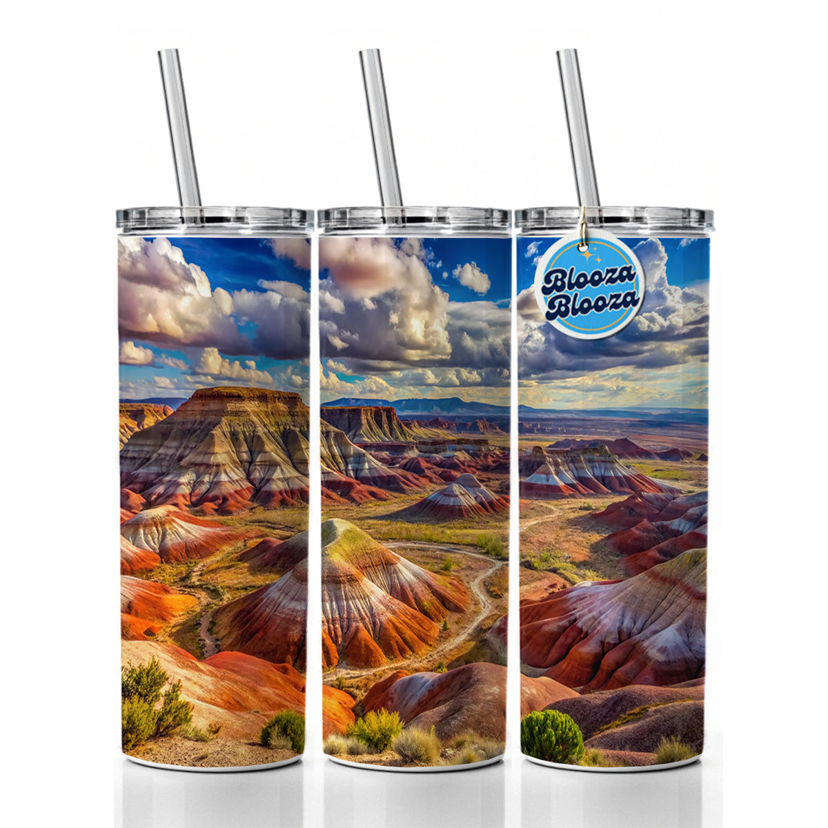 Petrified Forest National Park Arizona Watercolor Style Skinny Tumbler 20oz with Straw Insulated Water Bottle Gift