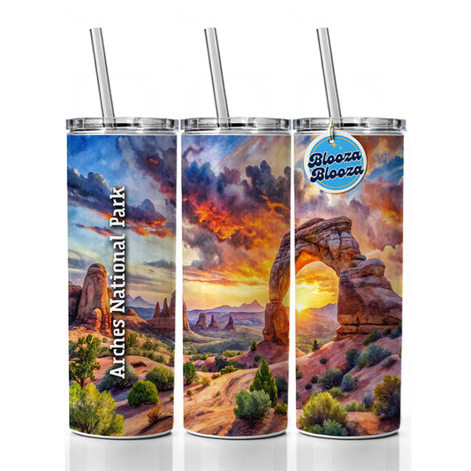 Arches National Park Utah Skinny Tumbler 20oz with Straw Insulated Water Bottle Gift