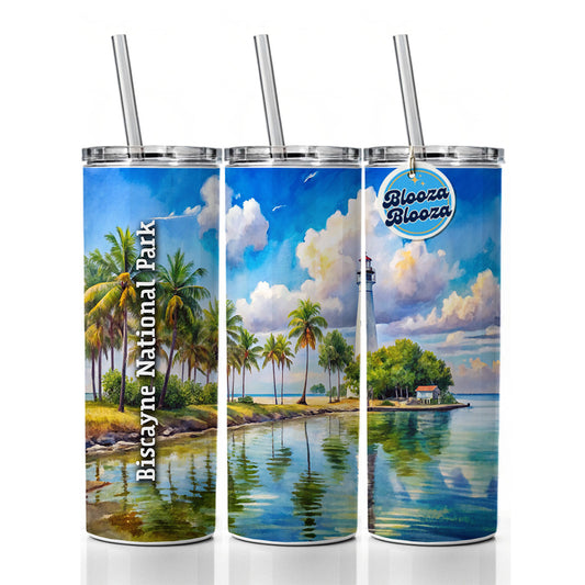 Biscayne National Park Florida Skinny Tumbler 20oz with Straw Insulated Water Bottle Gift