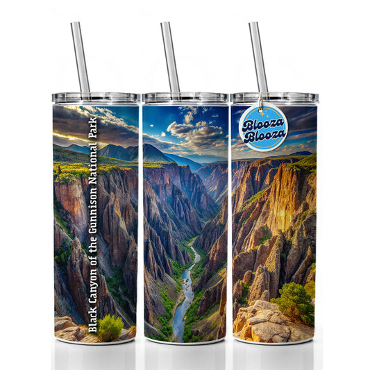 Black Canyon of the Gunnison National Park Colorado Skinny Tumbler 20oz with Straw Insulated Water Bottle Gift