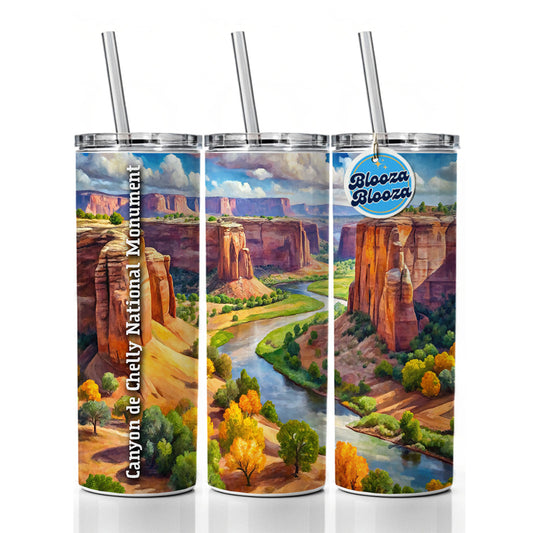 Canyon de Chelly National Monument Arizona Skinny Tumbler 20oz with Straw Insulated Water Bottle Gift