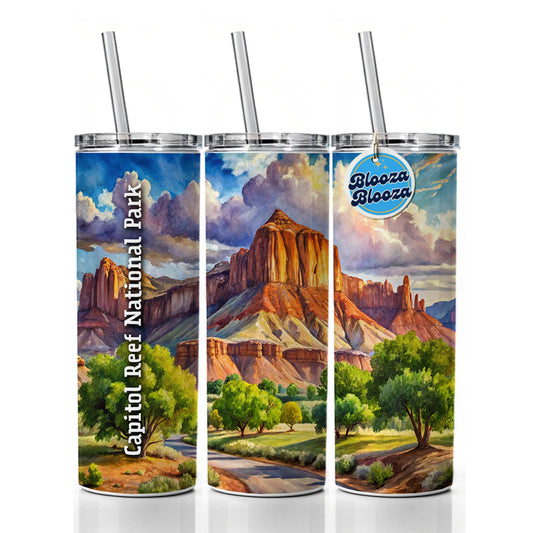 Capitol Reef National Park Utah Skinny Tumbler 20oz with Straw Insulated Water Bottle Gift