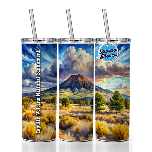 Capulin Volcano National Monument New Mexico Skinny Tumbler 20oz with Straw Insulated Water Bottle Gift