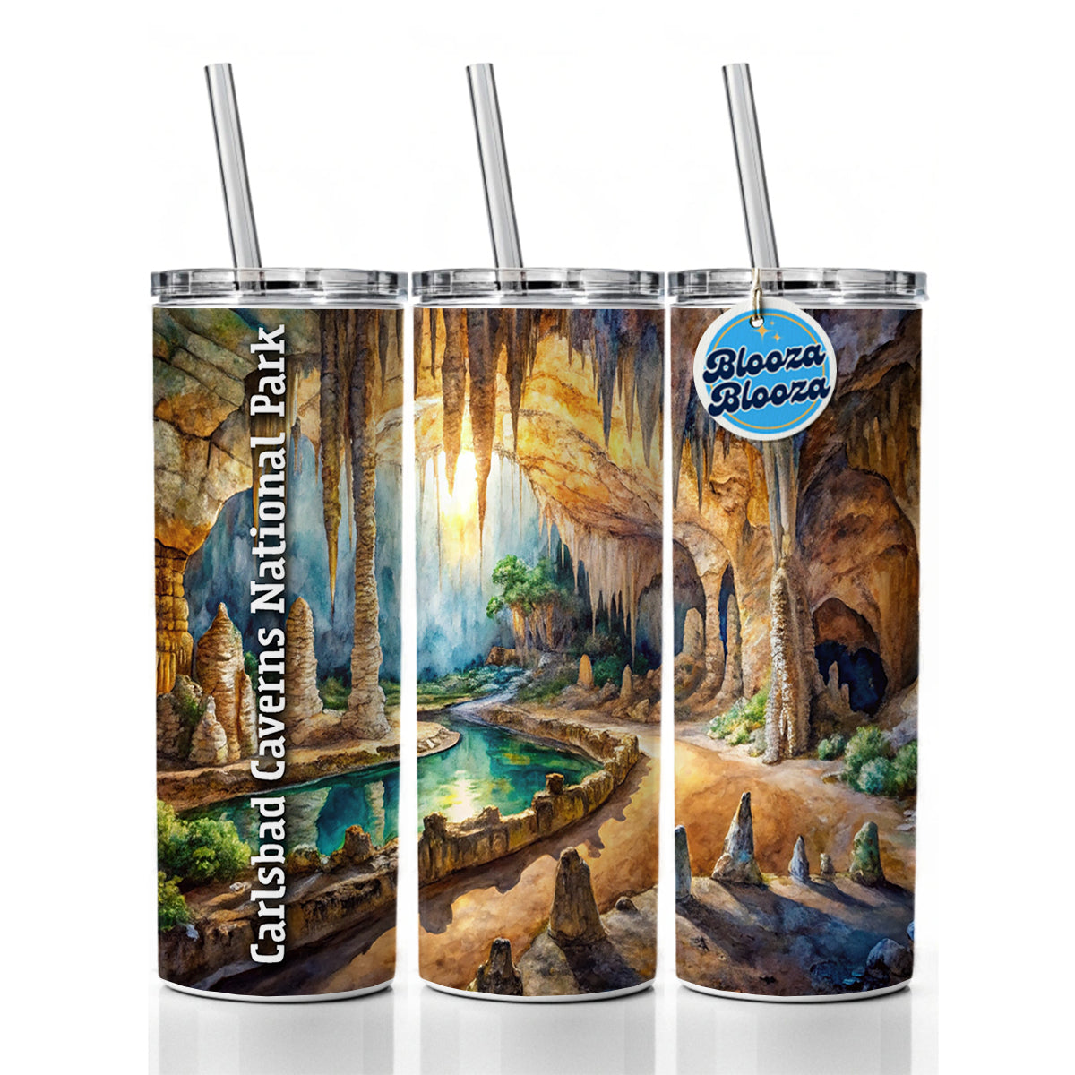 Carlsbad Caverns National Park New Mexico Skinny Tumbler 20oz with Straw Insulated Water Bottle Gift