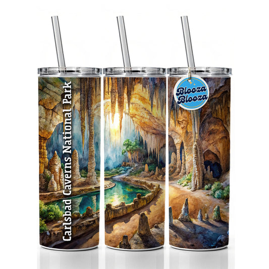 Carlsbad Caverns National Park New Mexico Skinny Tumbler 20oz with Straw Insulated Water Bottle Gift