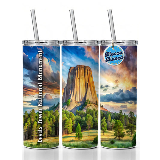Devils Tower National Monument Wyoming Skinny Tumbler 20oz with Straw Insulated Water Bottle Gift