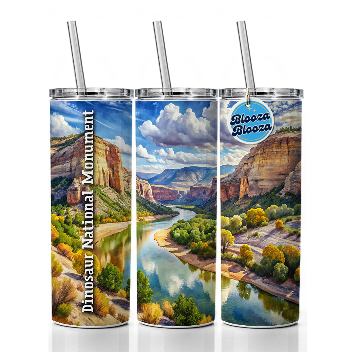 Dinosaur National Monument Colorado, Utah Skinny Tumbler 20oz with Straw Insulated Water Bottle Gift