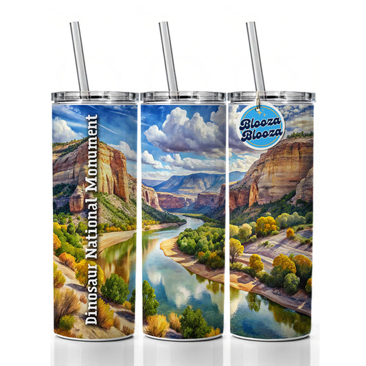 Dinosaur National Monument Colorado, Utah Skinny Tumbler 20oz with Straw Insulated Water Bottle Gift