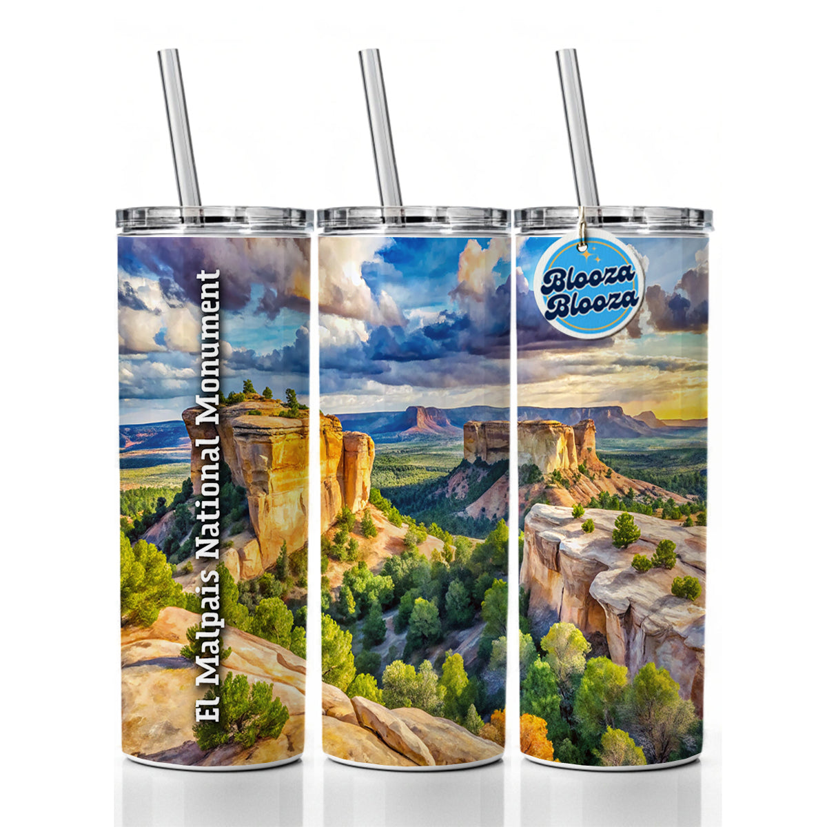 El Malpais National Monument New Mexico Skinny Tumbler 20oz with Straw Insulated Water Bottle Gift