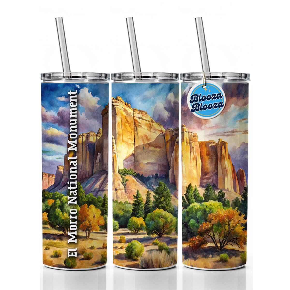 El Morro National Monument New Mexico Skinny Tumbler 20oz with Straw Insulated Water Bottle Gift