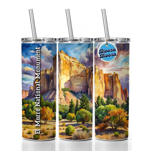 El Morro National Monument New Mexico Skinny Tumbler 20oz with Straw Insulated Water Bottle Gift