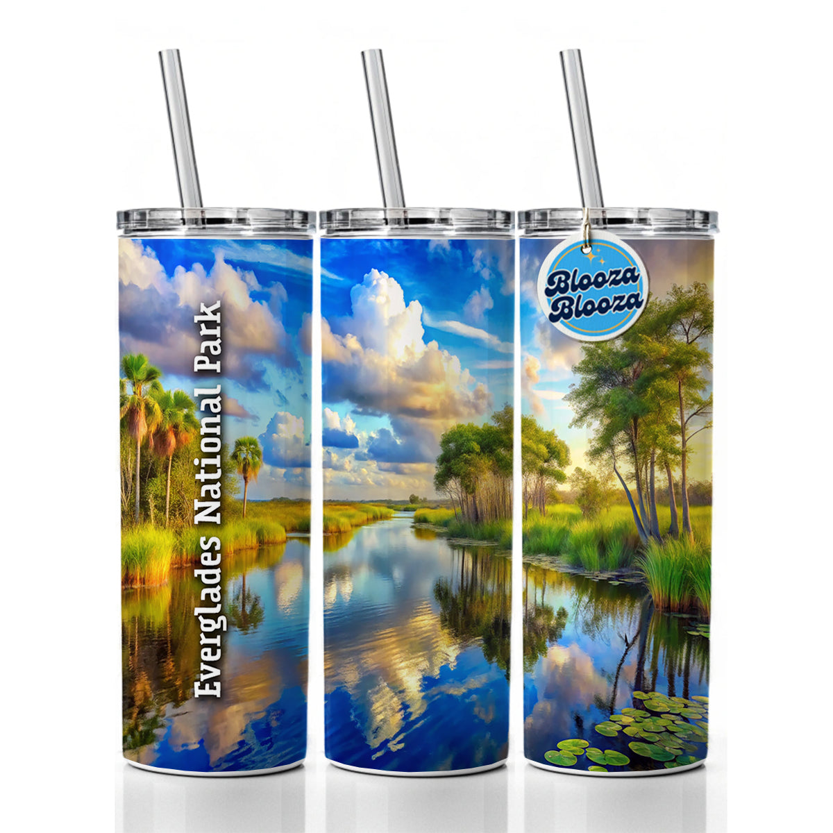 Everglades National Park Florida Skinny Tumbler 20oz with Straw Insulated Water Bottle Gift